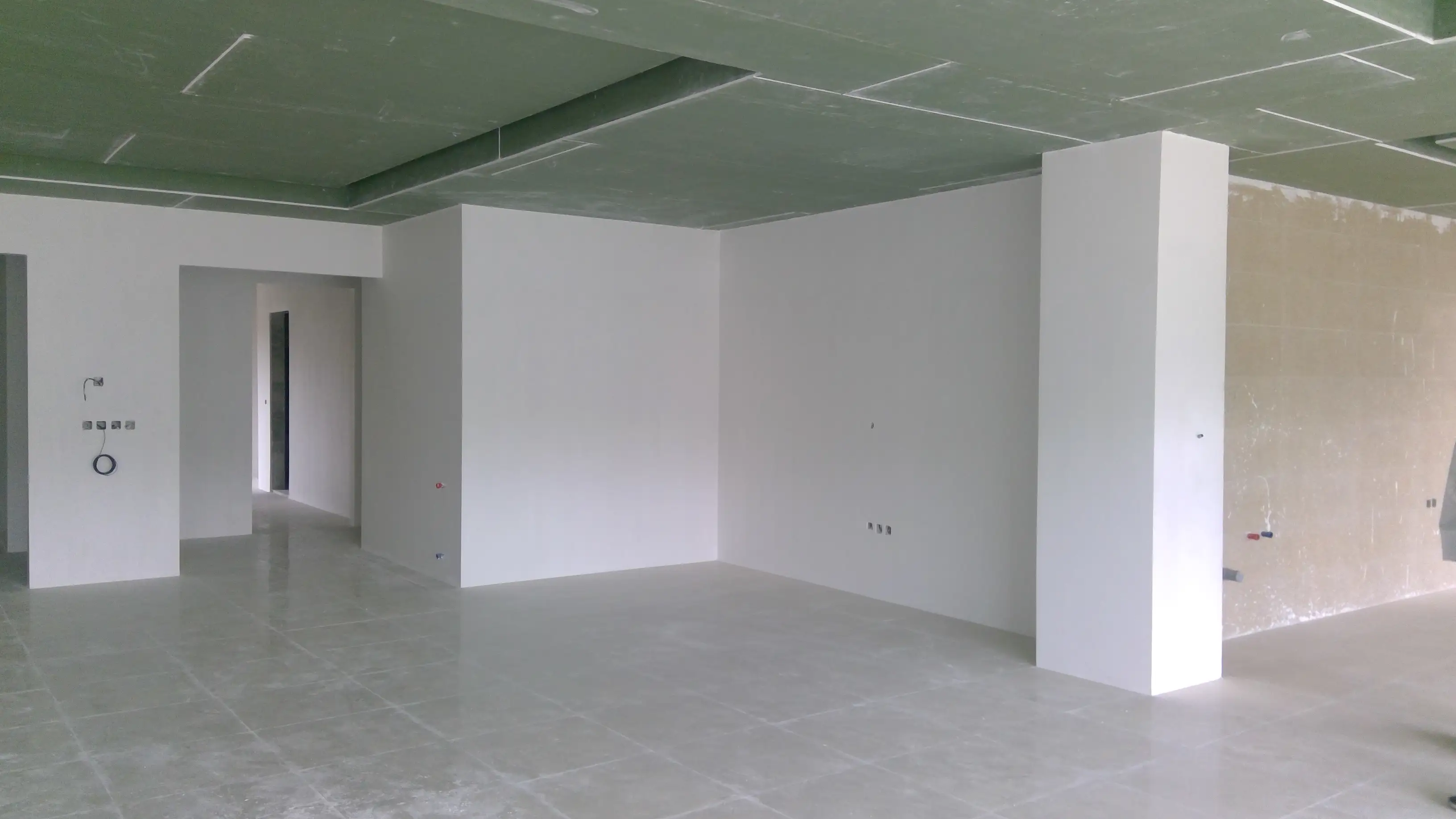Living Room & Hallway Design