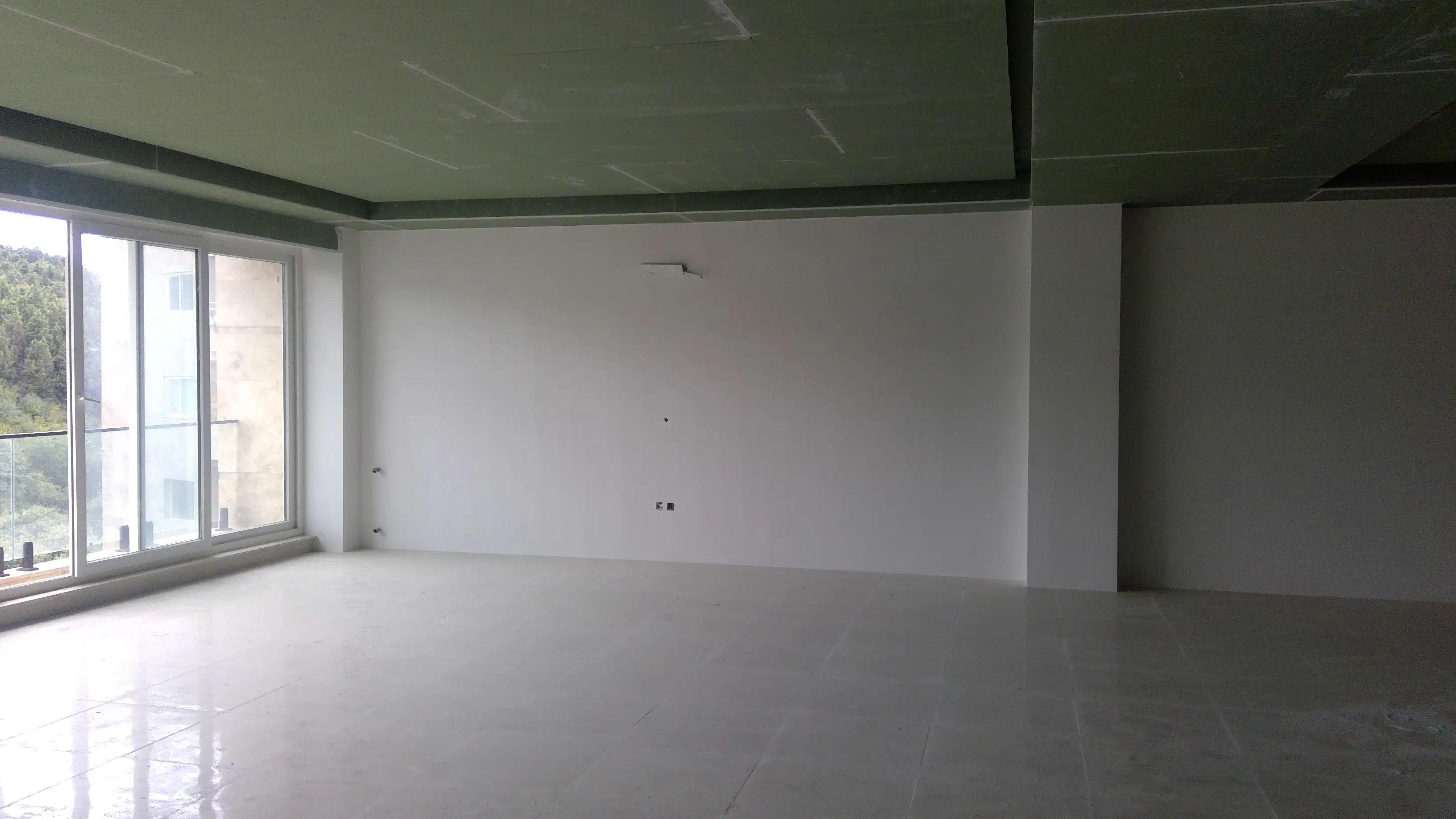 Living Room & Hallway Design