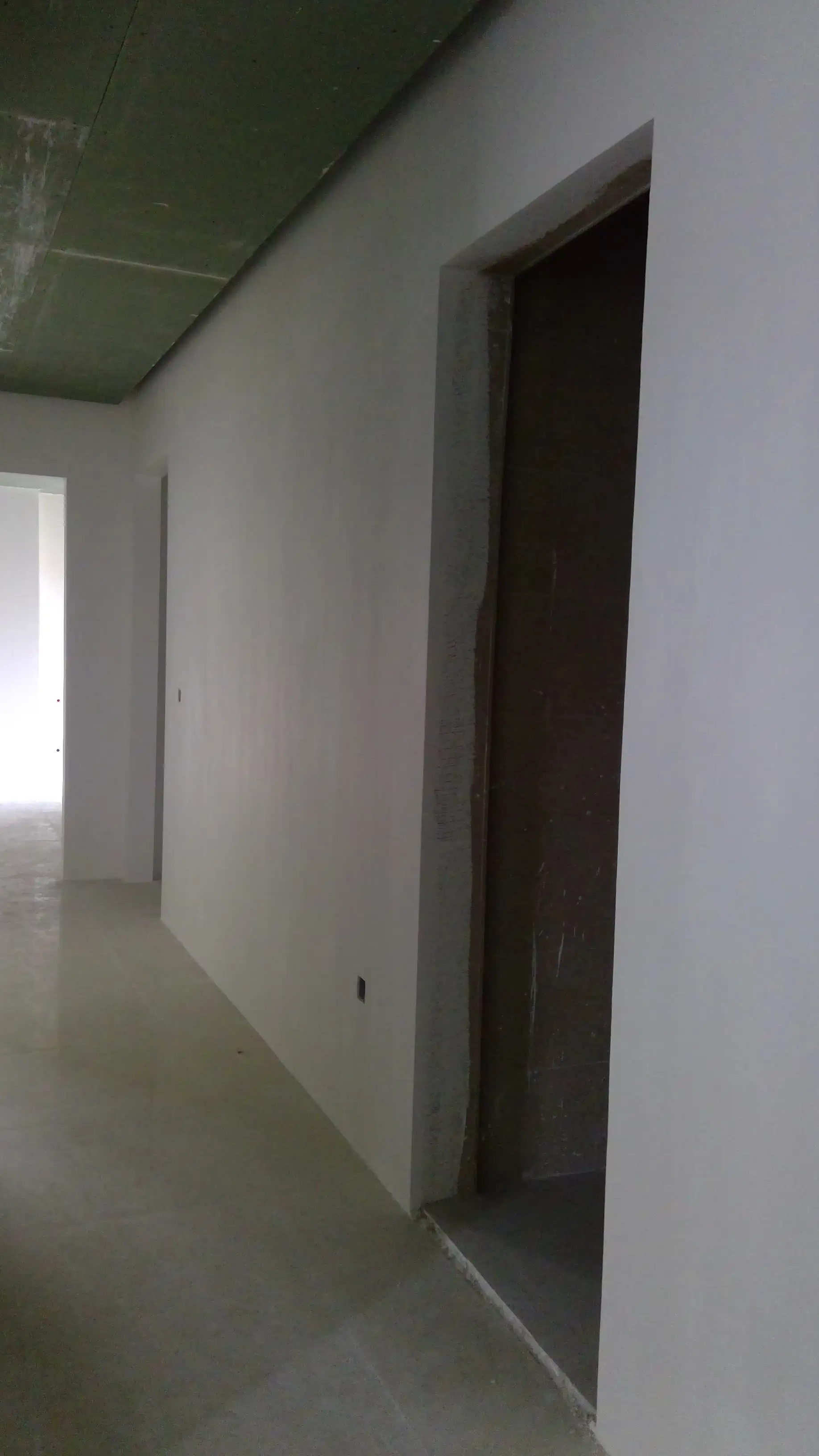 Living Room & Hallway Design