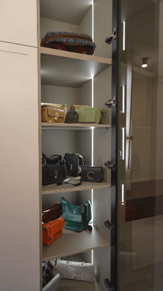 Closet Room Design